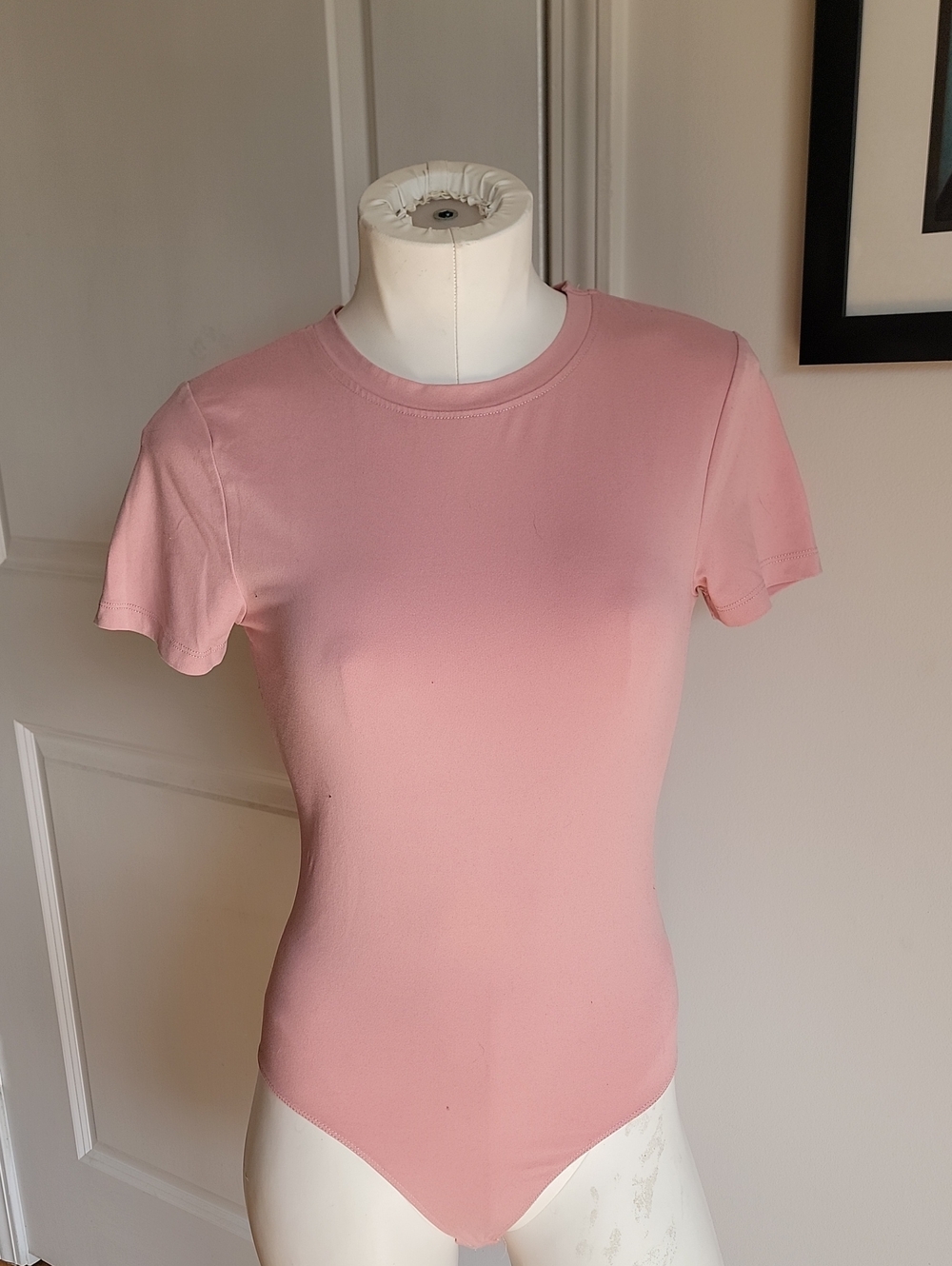 🍒 Streetwear Society Pink Short Sleeve Crewneck Bodysuit - Size Small